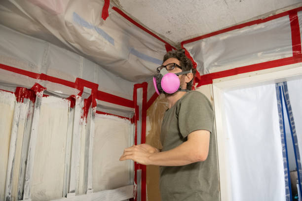 Best Basement Mold Removal  in Red Bud, IL