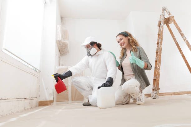 Best Residential Mold Inspection & Testing  in Red Bud, IL